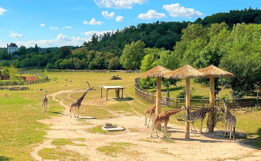 Prague: Prague Zoo Audio Guide with E-Ticket - Who will enjoy this self-guided format