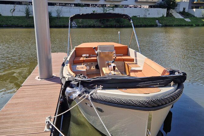Prague Private Boat Tour - 2 Hours - Castle views, government buildings, and the concert hall