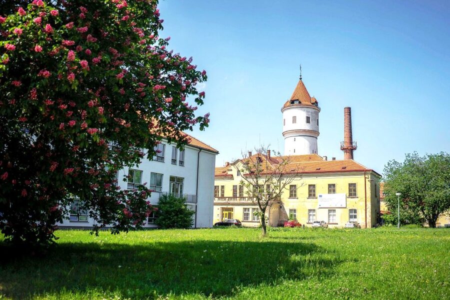 Prague: Psychiatric Hospital and Abandoned Cemetery Tour - The first 2.5 hours inside Bohnice