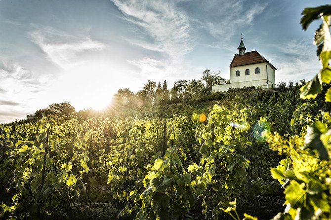 Prague´s Hidden Vineyards Private Tour - Timing, pickup, and practical details