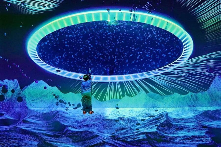 Prague: The World Of Jellyfish Entry Ticket w/ Drink - A modern aquarium above Arkady Pankrac