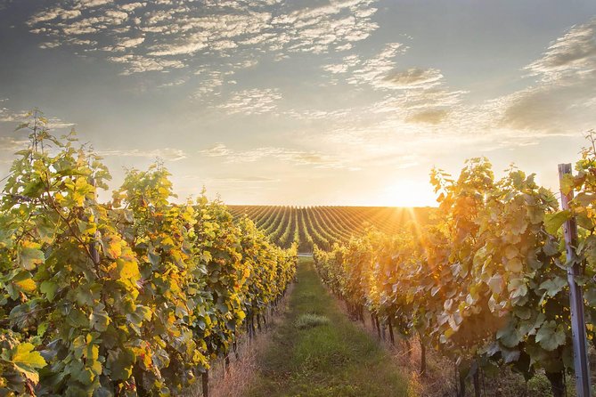 Prague-Vienna One-Way Sightseeing Day Tour - Why this transfer is more than a ride to Vienna