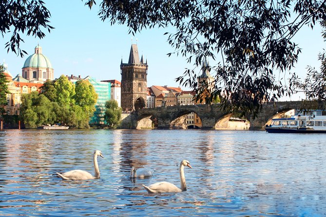 Prague Vltava River Lunch Cruise - The buffet lunch, music, and onboard mood