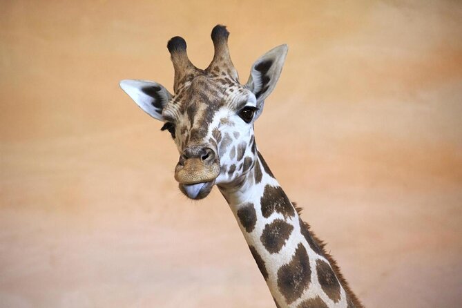 Prague Zoo Admission Ticket including Round Trip Transfer - Key points about the Prague Zoo visit