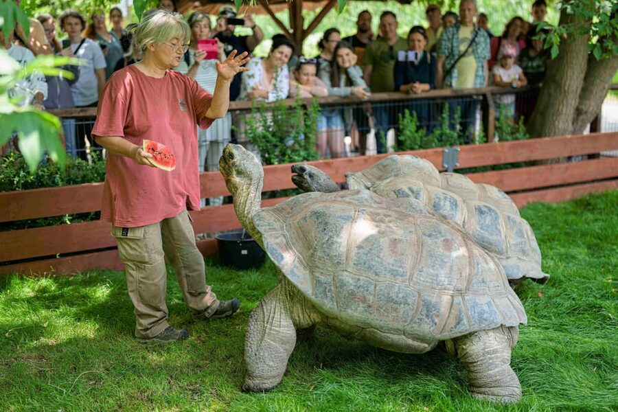 Prague Zoo: Skip-the-Line Entry Ticket - Elephants, giraffes, and the best morning rhythm