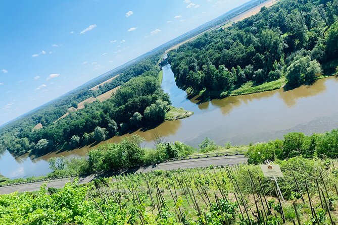 Private Bohemia Wine Tour from Prague with Gourmet Tastings - Why this Bohemia wine tour is different