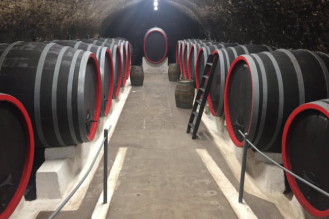 Private Bohemia Wine Tour from Prague with Gourmet Tastings - A modern finish at Johann W winery