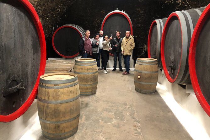 Private Bohemia Wine Tour from Prague with Gourmet Tastings - Food, drinks, and the full eight-hour rhythm