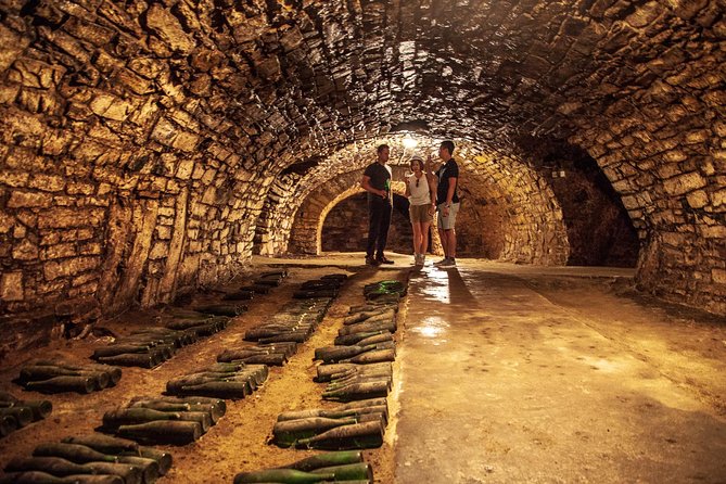 Private Bohemia Wine Tour from Prague with Gourmet Tastings - Tasting beneath Radobýl hill in Žalhostice