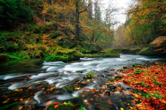 Private Custom Full day tour - Top Highlights of Bohemian & Saxon Switzerland - Should you book this Prague day trip?