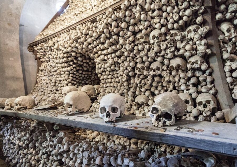 Private Guided Tour from Prague to UNESCO Kutna Hora - Six hours, transport, and what the schedule means