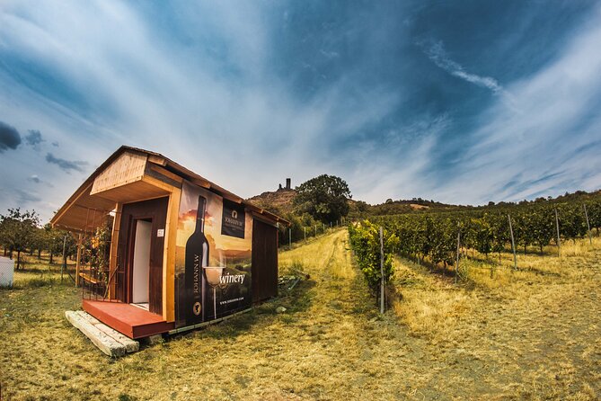 Private PICNIC in Bohemian Vineyards and Wine Tasting 4WD Tour - Picnic lunch and the weather plan