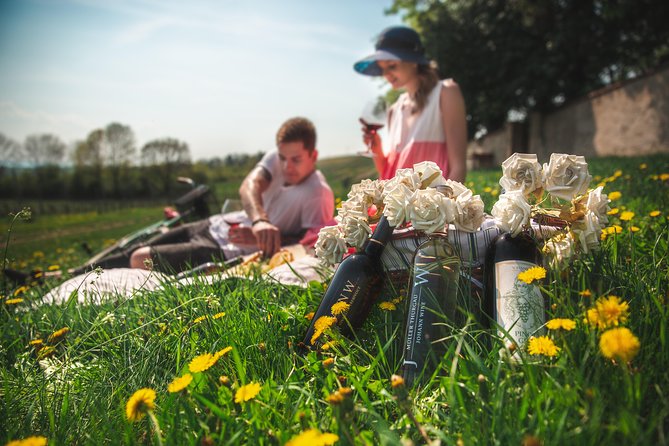 Private PICNIC in Bohemian Vineyards and Wine Tasting 4WD Tour - At Johann W Winery in Třebívlice
