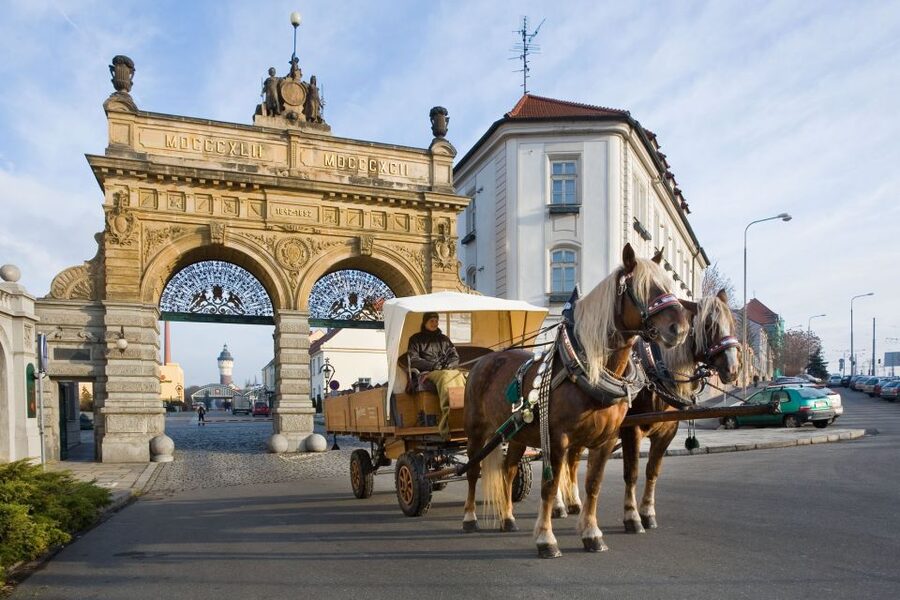 Private Pilsen & Pilsner Urquell Brewery Tour Prague - Should you book the private Pilsen tour?