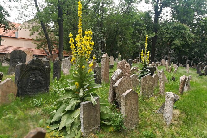 Private Stories of Jewish Prague Walking Tour - The Jewish Museum as a network of places