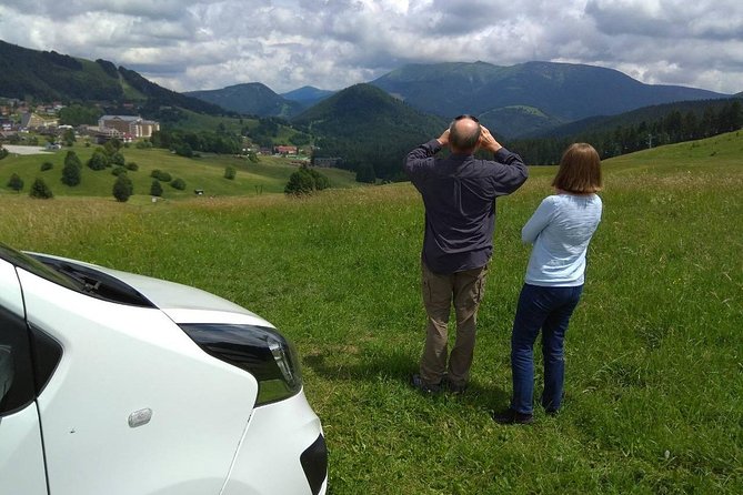 Private transfer in a Sanitized Car Prague to Vienna with 2h stop Cesky Krumlov - What the private car feels like