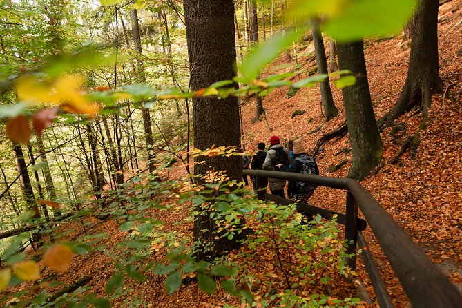 VIP Best Reviews: Bohemian & Saxon Switzerland from Prague - Pravčická Gate requires more effort