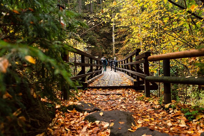 VIP Best Reviews: Bohemian & Saxon Switzerland from Prague - Small groups and private tours change the experience