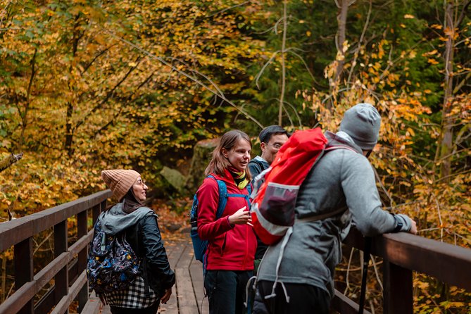 VIP Best Reviews: Bohemian & Saxon Switzerland from Prague - Is the walking suitable for you?