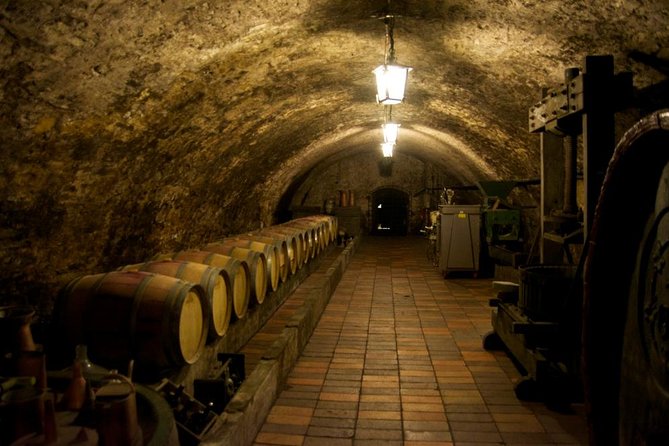 Wine Tasting Day Trip from Prague to Melnik - Why Mělník makes a good break from Prague
